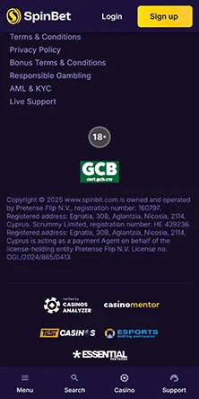 spinbet casino payment methods